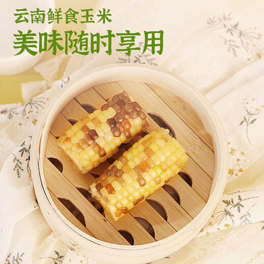 Longping Nuo Zhuangyuan small corn 1 stick Banna sticky corn on the stick single fruit 120g + direct delivery from Zhengzhou