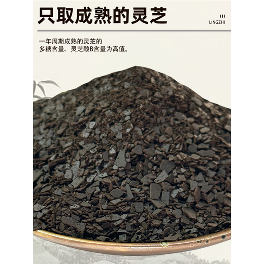 长白山灵芝孢子粉500g头道正品丰富油花产地直发破壁孢子粉 拍2罐送3罐 发5罐 （共1250g）