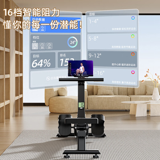 Yingerjian Super Fat Burning Intelligent Rowing Machine Home Gym Trainer Magnetic Control Silent Rowing Machine Aerobic Fitness Exclusive Edition - Intelligent Internet + Personal Training Course