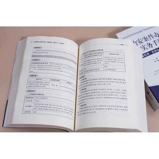 Public Security Case Handling Practice Manual, Discretionary Standards, Practical Identification, Evidence Collection Points, 2025 Public Security Management Punishment Law, Public Security Work Manual