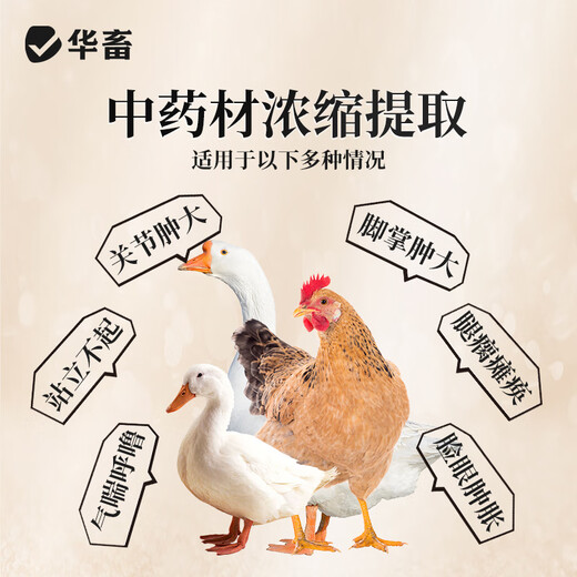 Huazhu Chick Feed Pellets Chick Chicken Premix Rutin Chicken Feed Quail Chicken Fish Bait Duckling Goose Feed 1 bottle Hua Zhi Kang 500ml for swollen joints and soles of the feet