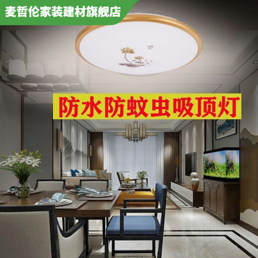 Vinoa LED-Küchenlampe, Badezimmerlampe, wasserdichte Deckenlampe, Badezimmer-WC-Lampe, Anti-Mücken-Balkon, Gang, Flurlampe, Zuhause und weißer Rand, 20 cm, 12 Watt weißes Licht