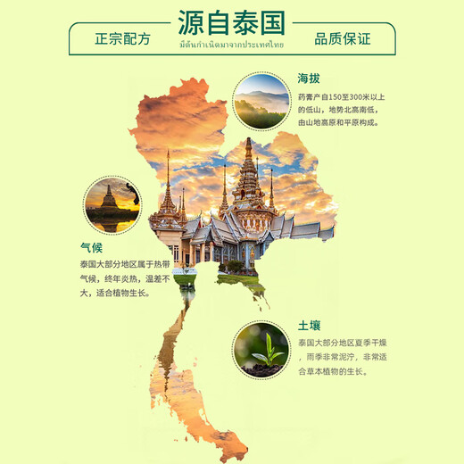 Golden Reclining Buddha brand Thai grass ointment, mosquito bites, itching, heatstroke prevention, cooling, motion sickness, refreshing, travel home, 50g bottle