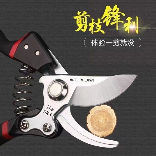 FANCYCHIC German craftsmanship imported steel branch shears tree shears fruit tree shears pruning scissors household flowers and grapes pruning branches German imported steel blades (national rapid) original German (thick branch shears) super fast + strength