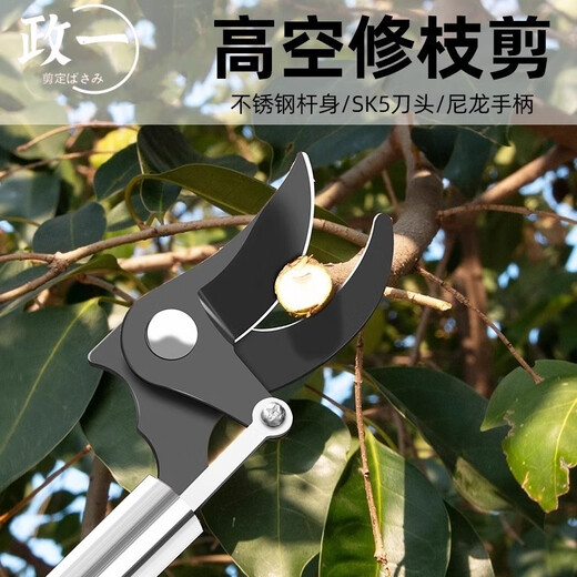 Leaf high branch shears pruning shears stainless steel scissors for pruning garden sparse flowers and fruits pruning high-altitude pruning shears high branch flower pruning shears 1.5 meters non-retractable second hair with spare spring