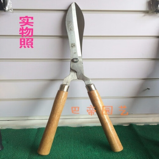 Chaosihui wooden handle lawn shears, hedge shears, garden pruning shears, flower scissors, branch shears, gardening shape scissors, garden tools, small wooden handle lawn shears