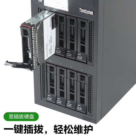 Lenovo (Lenovo) Thinksystem ST258 v3 serveur tour 4U de classe entreprise hôte Xeon E-2488 huit cœurs 3,2-5,6 GHz 64 Go de mémoire 丨2 1,92 T SSD de classe entreprise 丨 RAID1