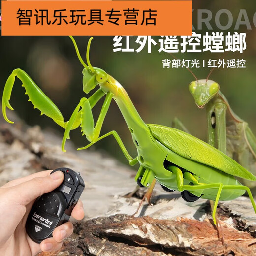 
Shantoulin Village remote control mantis electric toy prank artifact cockroach boy moves spider crawling animals Remote control mantis [classic version - remote control ladybug] red model 9922