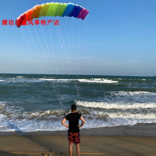 Self-top double line stunt kite new 2023 powered rainbow parachute gliding simple and easy to fly software sports for beginners and adults 2.7m rainbow line board + one wrist strap + line