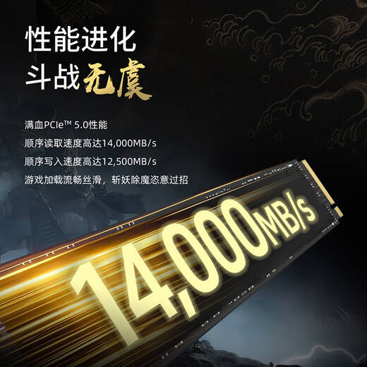 致态（ZhiTai）长江存储 4TB SSD固态硬盘 NVMe M.2接口 TiPro9000 系列《黑神话：悟空》联名版 (PCIe 5.0 产品)