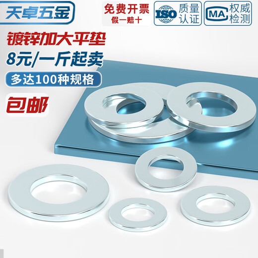 Tianzhuo Hardware carbon steel galvanized flat pad metal gasket extra large round thickened screw washer M3M4M5M6M8M10M12 M2*5*0.5 10000 pieces