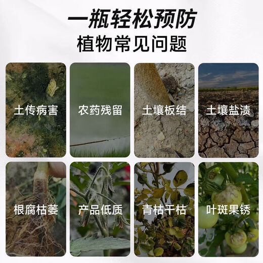 Anxiaoran microbial inoculants and fertilizers promote seedlings, strengthen roots, prevent diseases and increase yields in sugar cane and rice fields. Genuine. 15 bottles*120ml bottles. Very stylish.