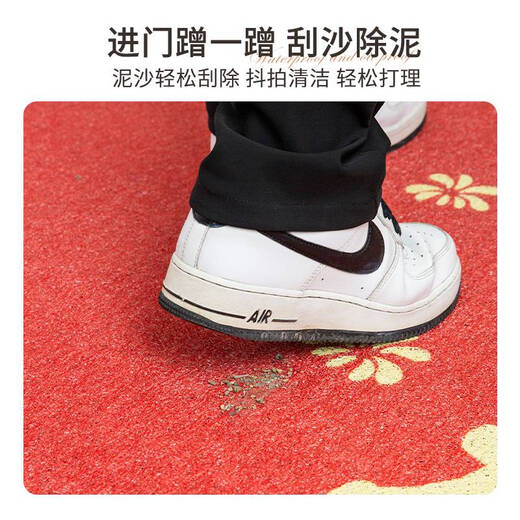 Shantou Lin Village entrance and exit safe door mats entrance door floor mats 2025 New Year silk circle door mats entrance Nuanju Ruyi AX-6296 100*120m isolates sediment