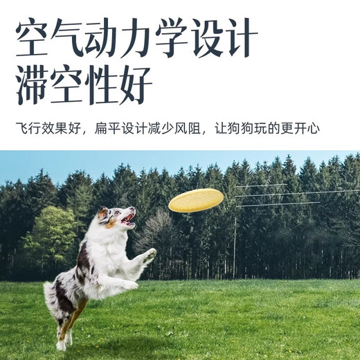 Star Rudder Frisbee Dog Special Frisbee Outdoor Dog Training Bite Resistant Soft Frisbee Side Collie Golden Retriever Small and Medium Dog Pet Training Frisbee Pet Frisbee Toy Blue-23cm
