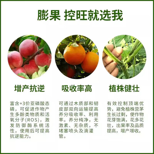 Jinzhengda Potassium Phosphite prevents diseases, inhibits bacteria, controls shoot growth, promotes flower expansion and fruit expansion, phosphorus and potassium foliar fertilizer promotes fruit expansion, Jinzhengda Potassium Phosphite 1 liter * 1 bottle