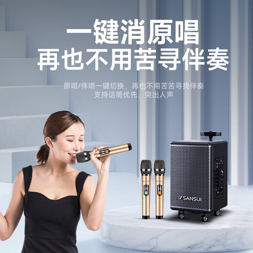 SANSUI TE06 square dance audio 8-inch subwoofer mobile outdoor karaoke rod speaker wireless microphone stall speaker electric acoustic guitar folk instrument speaker high power