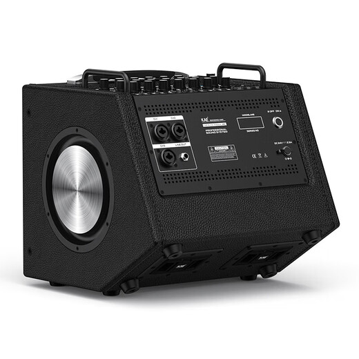 KAEM8 roadshow live audio instrument playing and singing outdoor karaoke electric guitar blowpipe internal recording portable stage performance speaker M8 Purple (Deluxe Edition)