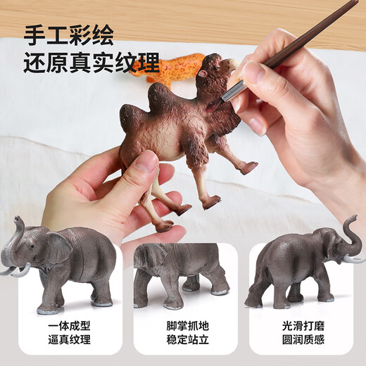 Newkey Children's Toys Simulation Animal Model Bunny Boys and Girls Wild Animal World Awareness Card Set