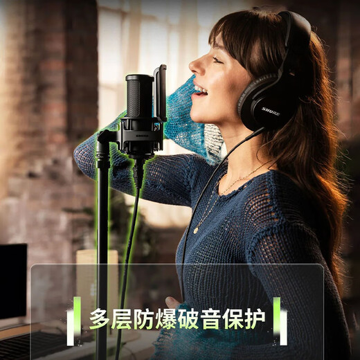 SHURE SM4 kit large diaphragm microphone flashlight dual diaphragm personal chorus karaoke vocal instrument recording equipment arranger audiobook musician studio microphone SM4-Kit + Aiken 2nano sound card