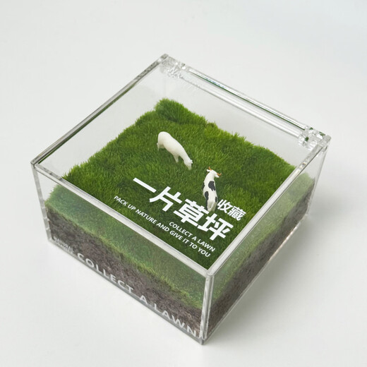 Jingdong green plants, a private lawn, office gift box, moss micro-landscape ornaments, ecological green plants, customized gifts, straight from the source