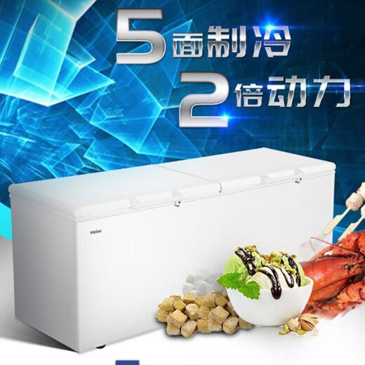 海尔商用大冰柜BC/BD-519/829大冰柜冷冻冷藏保鲜肉柜食品商用柜单温 BC/BD-719HEZ电子控温/零下38