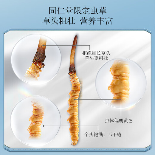 同仁堂品牌 北京同仁堂 鲜虫草冬虫夏草新鲜虫草礼盒无断草送礼送长辈 1盒 30g 2A鲜虫草50根0.6-0.8克/条
