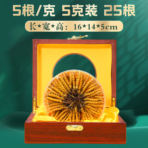 Zangyou auténtica caja de regalo de Cordyceps con tónico para la primera etapa del regalo de Cordyceps para que los ancianos y los padres lideren el regalo nutricional [Uso económico] 5 palos/G-5 gramos-25 palos [descuento especial]