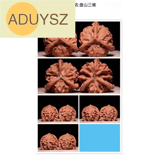 ADUYSZ胖东来品质精品老树正奔文玩核桃盘山文山一物一拍520情人节生日 41精配对矮桩老树盘山16835