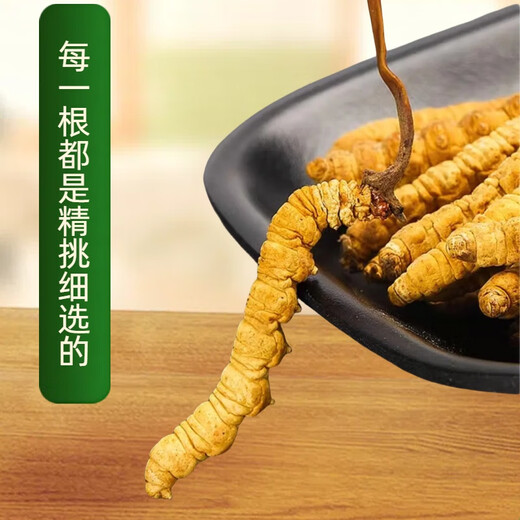 La nouvelle boîte cadeau séchée de Cordyceps séchée de Kangsil pour offrir des cadeaux à nourrir et à nourrir la qualité de sélection de Cordyceps pour les anciens Tibet Nagqu Cordyceps environ 2 racines / gram 80 racines (boîte cadeau)