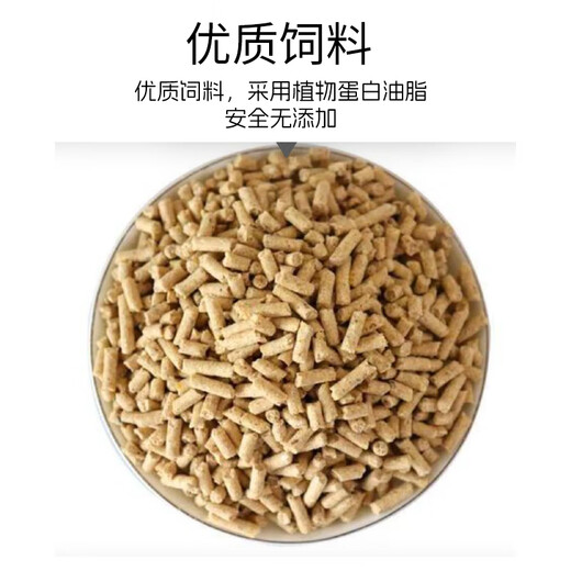 Zhongrun Yangtze Antibiotic-Free Chicken Breast 2Jin Jin is equal to 0.5kg Frozen Fresh Chicken Breast Antibiotic-free Certified Fitness Light Meal Replacement Chicken