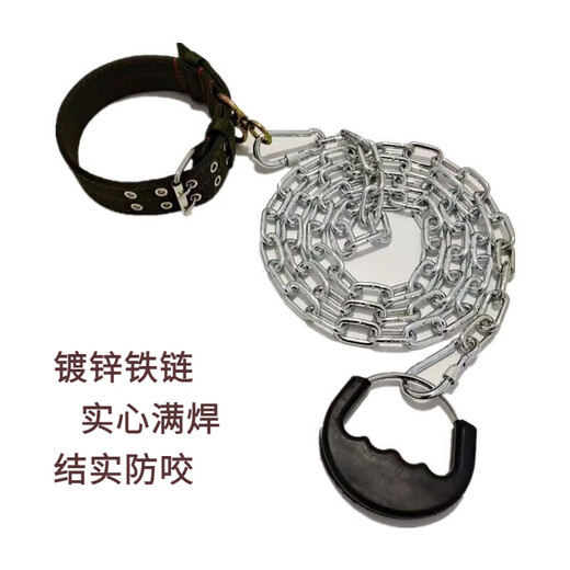 Li Haojia Dog Chain Anti-bite Iron Chain Large Dog Leash Golden Retriever German Shepherd Medium Dog Leash Native Dog Iron Chain Iron chain thickness 2.5mm recommended 15Jin Jin equals 0.5kg Inner dog 2 meters long