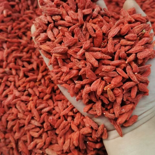 Grind Qiyuan New Goods Wolfberry 500g Ningxia Farmhouse Authentic Gouqi Dog Ji Tea Dry Men's Kidney Soaked Tea Soup Soaked Soup Wine Ningxia Red Wolfberry 500g [1Jin[Jin is equal to 0.5 kg]]