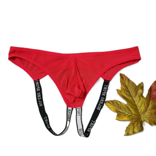 TTPMER Men's Cool and Breathable Double Elastic Mesh Sexy Micro-Thin Thread Thong Any 4 platters One Size 90Jin [Jin equals 0.5 kg] - 140Jin [Jin equals 0.5 kg]