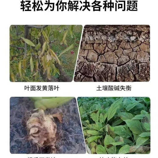 Authentic plant ash fertilizer, farmhouse organic flower fertilizer, special potash fertilizer for fruits, vegetables and flowers, charcoal fired plant ash to prevent insects 9.5-10Jin Jin equals 0.5kg plant ash