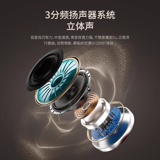 MAWE Audio Outdoor Karaoke Singing Bluetooth Speaker Musical Instrument Professional Live Broadcast Internal Recording Performance Charging Portable Small V8 Audio (Rechargeable Model)