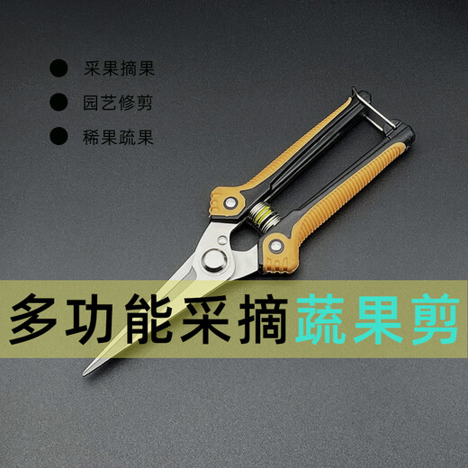Diaohuang special scissors for cutting garlic, grape and fruit picking scissors, spring vegetable and fruit picking scissors, orange gardening scissors, thin fruit scissors, 210 long straight head plastic handle fruit and vegetable scissors, single price is high