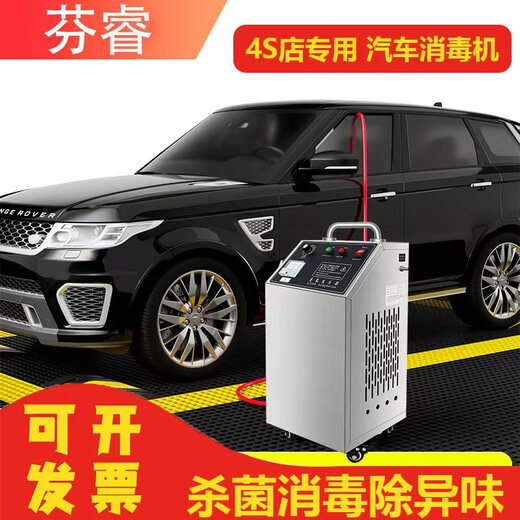Fenrui 4S store car special disinfection machine water treatment ozone disinfection machine sterilization disinfection and deodorization laboratory workshop factory use car disinfection machine 4S store car special use