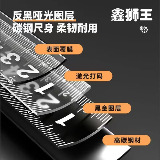 田岛（TAJIMA）卷尺卷尺5米耐用测量防摔钢卷尺超耐磨7.5㎜10米尼龙黑金卷尺 鑫狮王黑金10x25mm 好品质 10把装