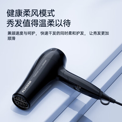 FLYCO hair dryer, household high-power negative ion hair dryer, hair care, strong wind, quick drying, light, compact, portable, professional salon hair dryer, 2000W high power, foldable FH6231