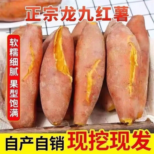 Freshly dug sandy sweet potato, fresh farm sweet potato, roasted sweet potato, soft and waxy, wholesale yellow heart, sandy sweet potato 2Jin Jin equal to 0.5kg, small and medium-sized fruits, box included
