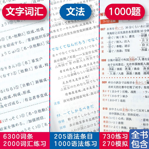 Japanische Red-and-Blue-Book-Reihe Red-and-Blue-Book Neuer Japanisch-Sprachtest N1 Satz Grammatik und Grammatiktext und Wortschatz (ausführliche Erklärung + Übung) 1000 Fragen Intensivtraining (Set mit 3 Bänden) Red-and-Blue-Book Kostenloses Audio