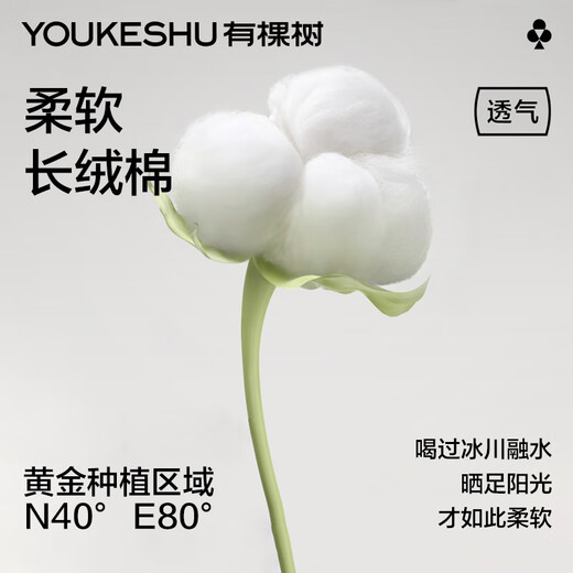 有棵树男士袜子男秋冬季纯棉短袜薄荷香氛10A抗菌防臭吸汗透气抗起球袜