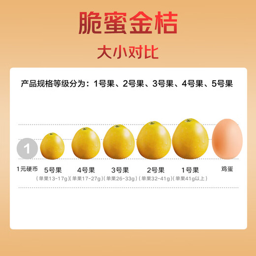 京觅广西融安 第三代脆密金桔 5斤装 单果32g+ 源头直发包邮