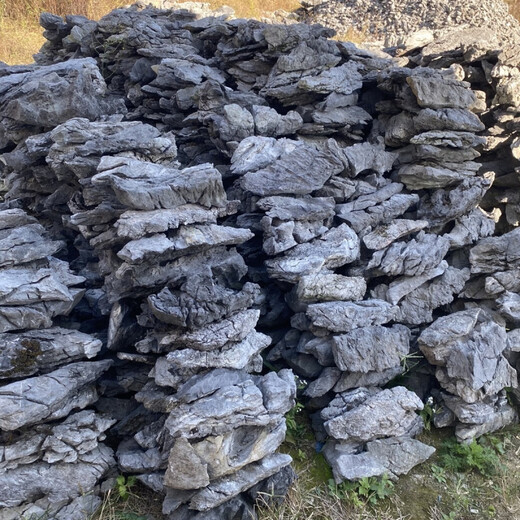 The raw stone is slotted and attached to the stone bonsai, which can be attached with elm, golden bean, fish tank, rockery, garden landscaping stone 13-17cm (slotted model will be shipped randomly)