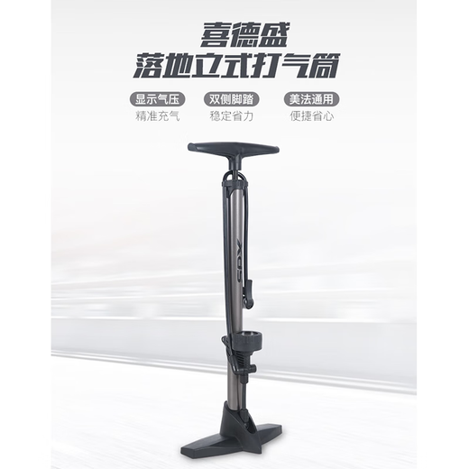 Xide Sheng (xds) bicycle lock pump light code meter seat cushion seat cushion air pump cycling water bottle gloves Trek Giant available vertical pump - titanium black