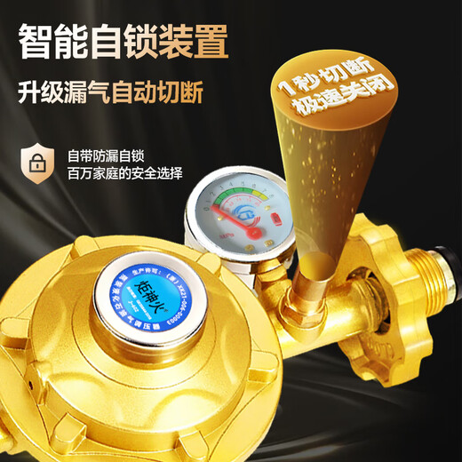 Jushenhuo 2025 New National Standard Gas Tank Pressure Reducing Valve Household Explosion-proof Liquefied Gas Water Heater Gas Stove Low Pressure Valve New National Standard 0.6 Household Low Pressure丨Production License丨Leakproof + 2 Meter Explosion-proof Pipe Quality Assurance Lightning Delivery丨Fast Delivery