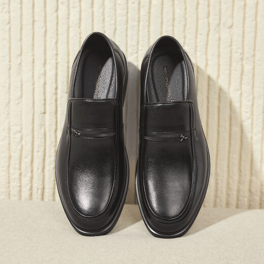 Red Dragonfly Men's Business Leather Shoes Commuting Soft Sole Dad Shoes Slip-on Men's Casual Shoes WTA43335 39