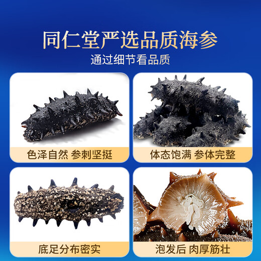 Tong Ren Tang brand Beijing Tong Ren Tang Dalian light dried sea cucumber and Liao cucumber 100g 20-30 pieces dried seafood supplement gift box