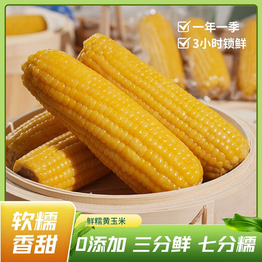 Fresh vacuum yellow corn heated ready-to-eat big sticks starting from 200g single stick for meal replacement breakfast essential supermarket live broadcast room 200g*3 sticks