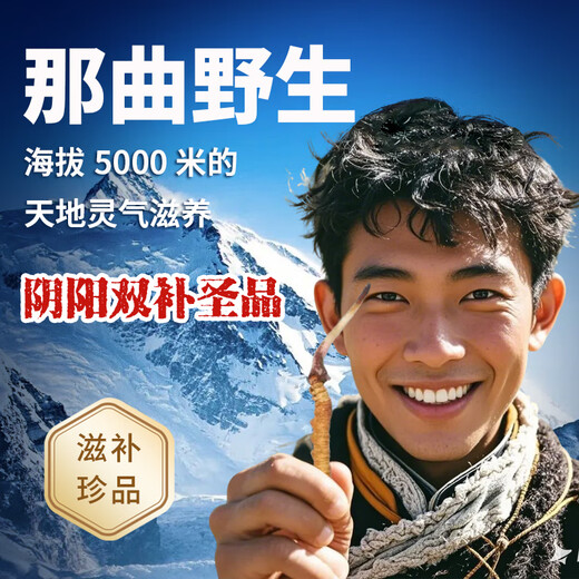 观采归【西藏那曲】野生冬虫夏草补品送长辈老年人营养礼盒虫草礼品实用 一级草[约2根/克] 5克10根养生装